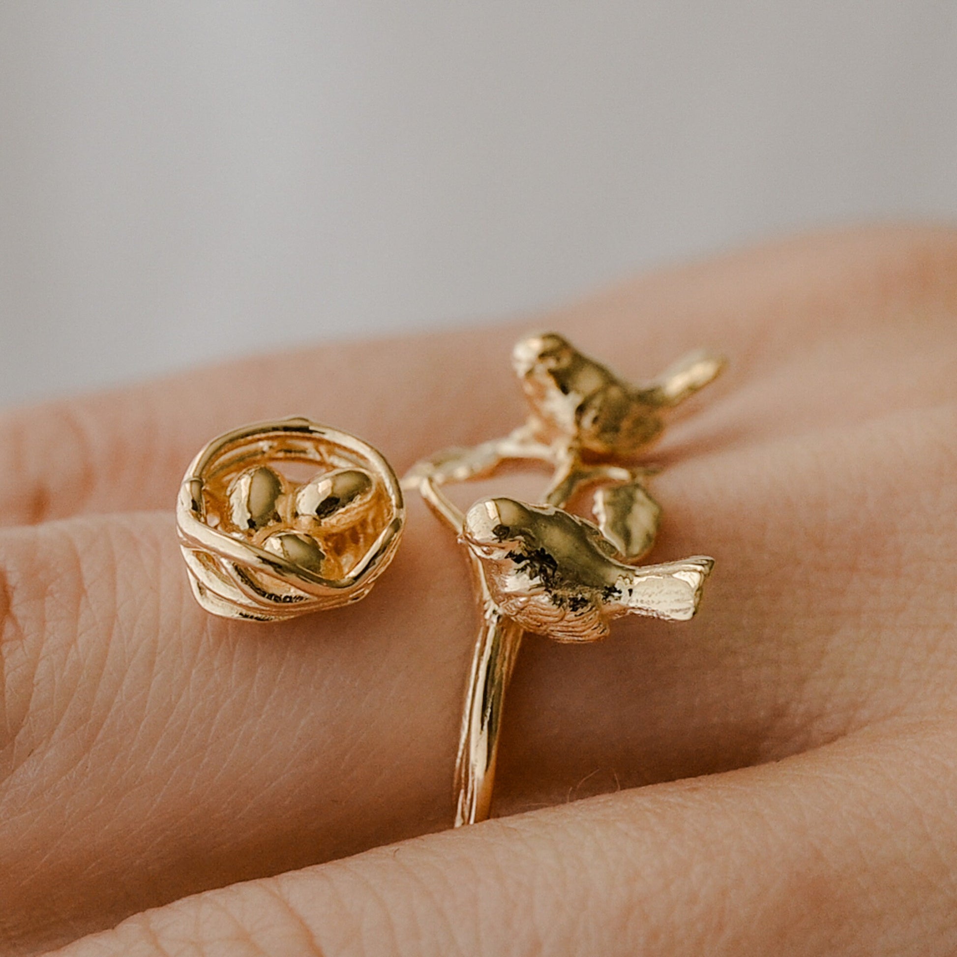Bird Ring Love Nest