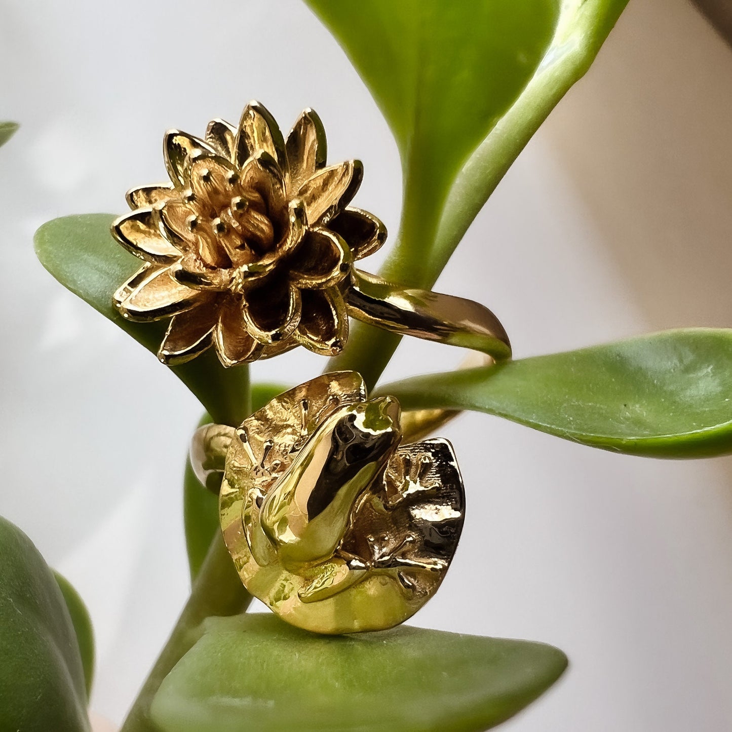 Princess Frog Ring in Adjustable Statement Ring in 14K Gold Plate