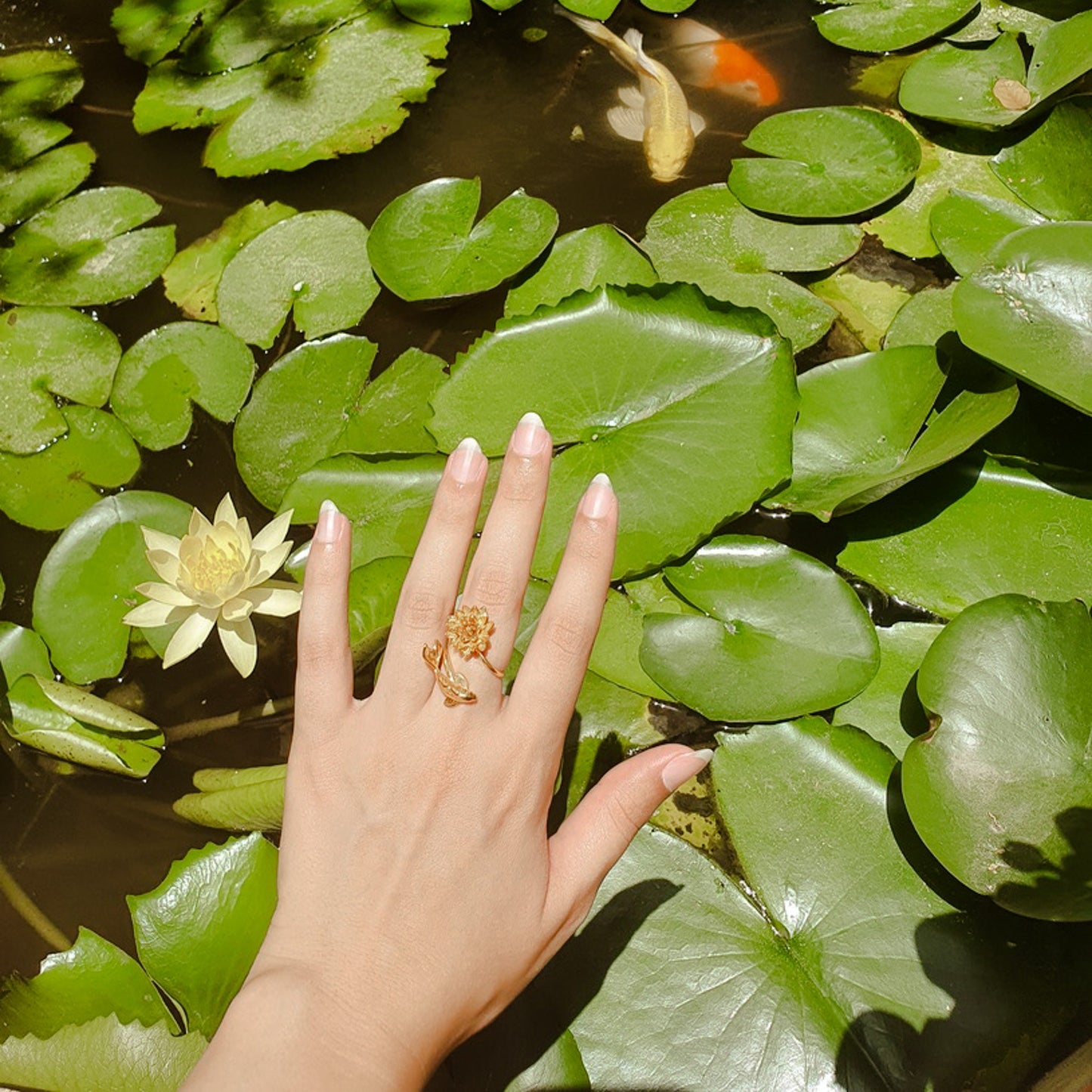 Waterlily and Koi Ring