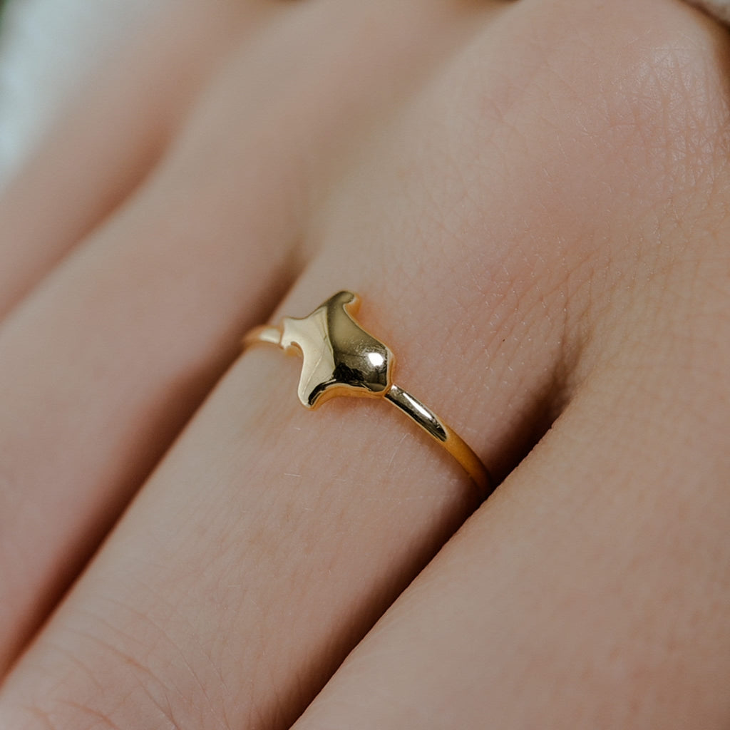 Vermeil Texas Ring size 4.75