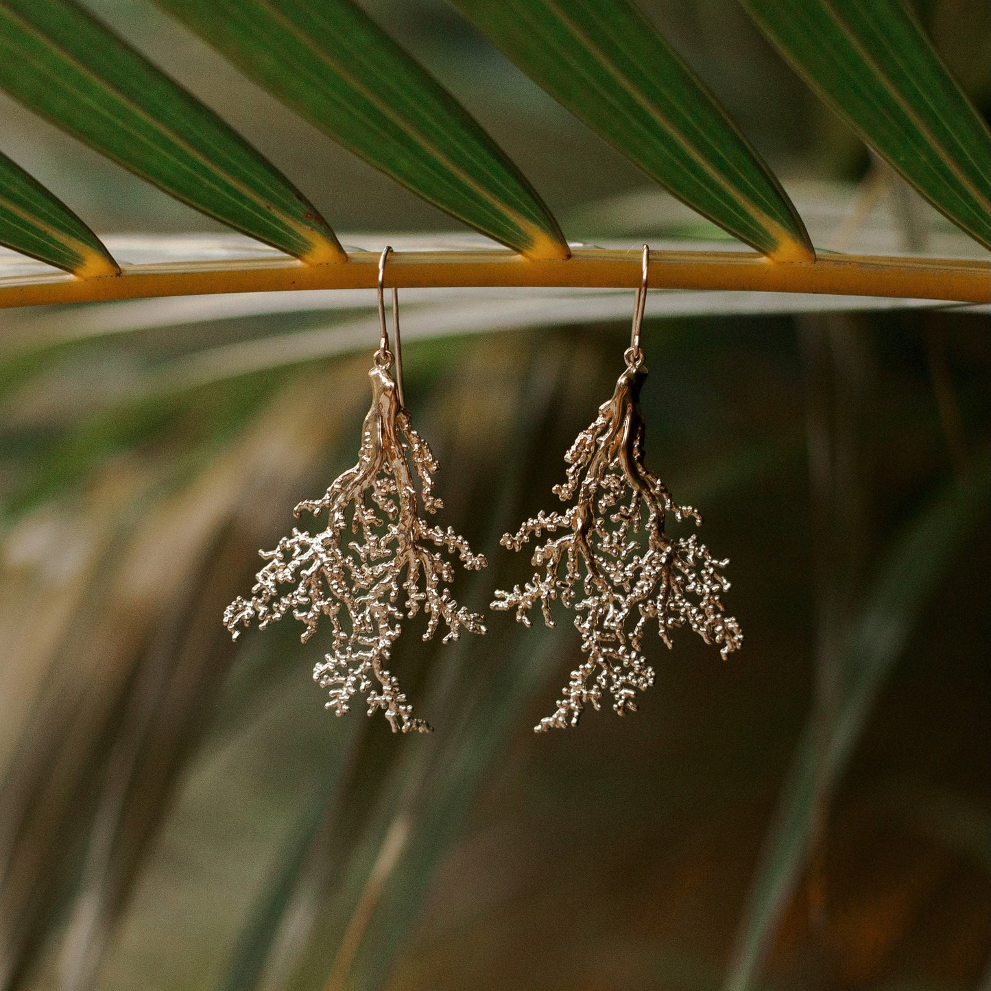 Coral Earrings