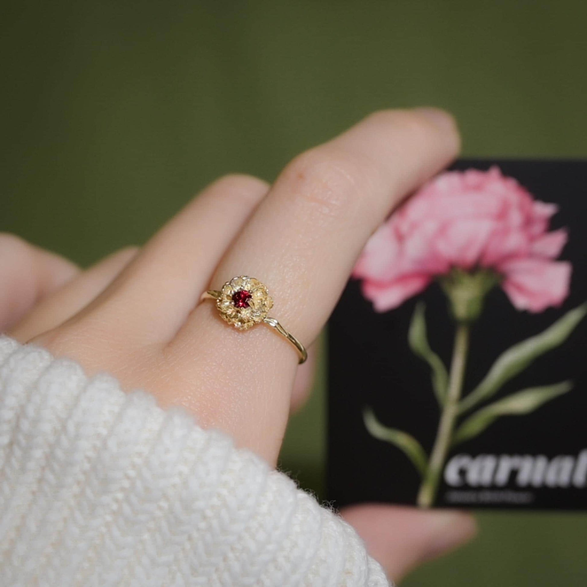 Carnation Flower