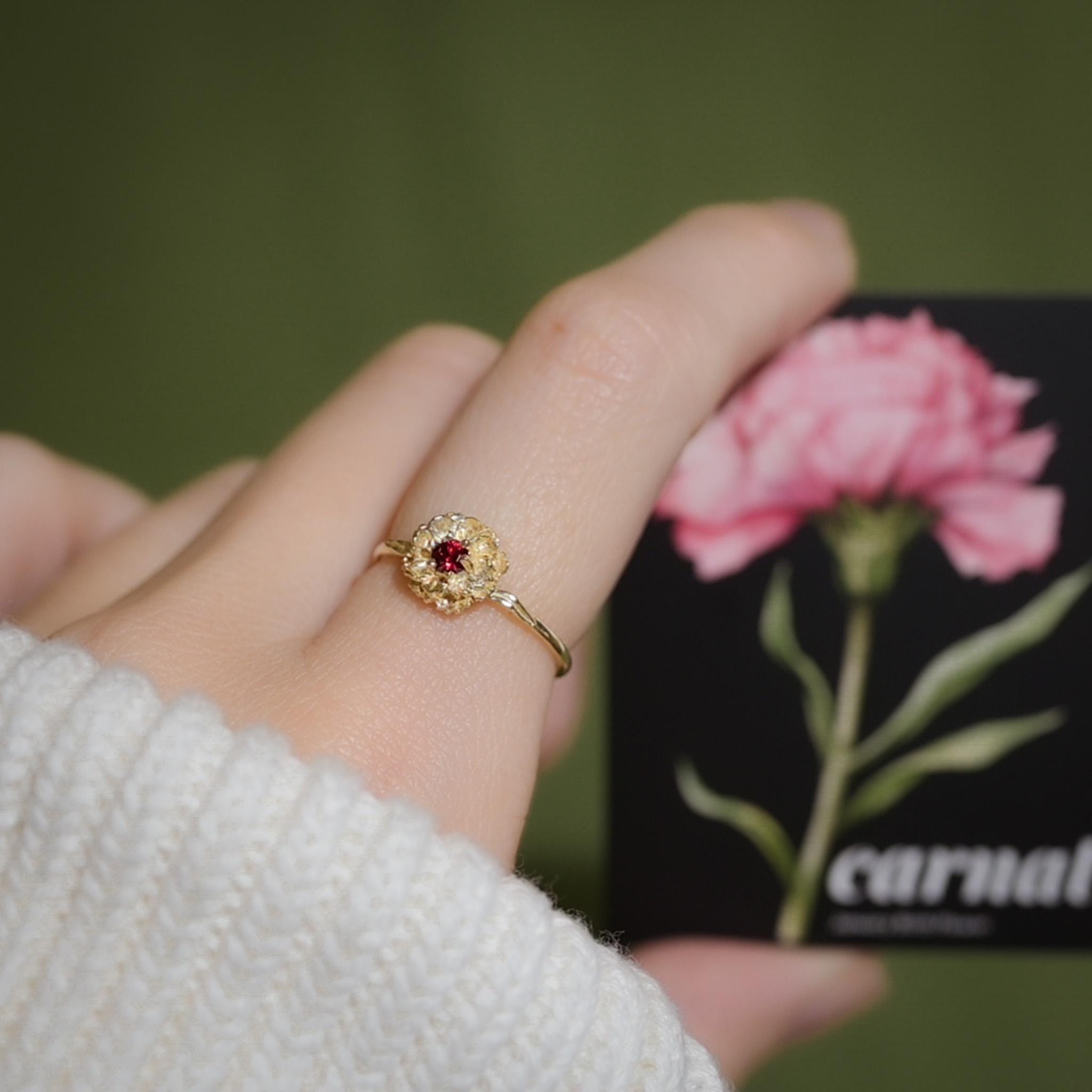 Carnation Flower