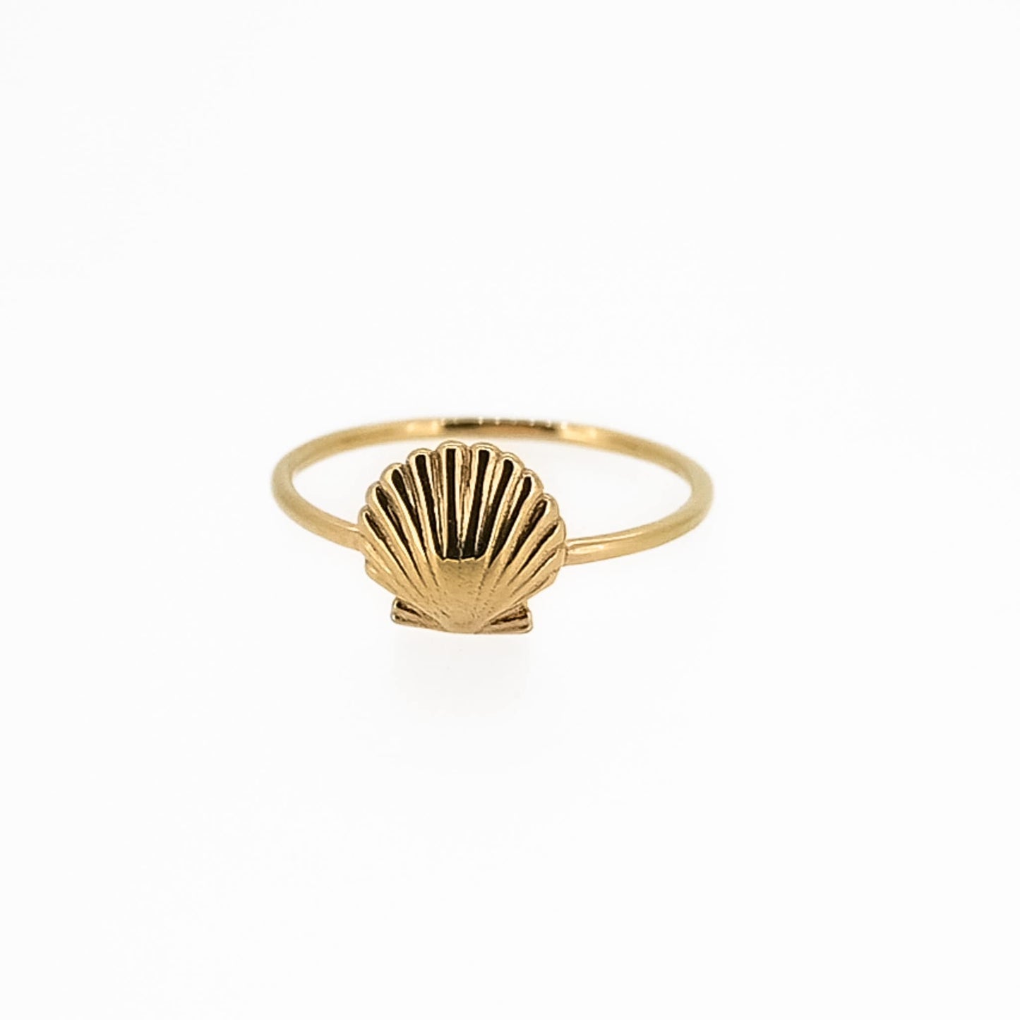 Single Dainty Seashell Ring in Solid 14K Yellow Gold, 14k White Gold, 14K Rose Gold