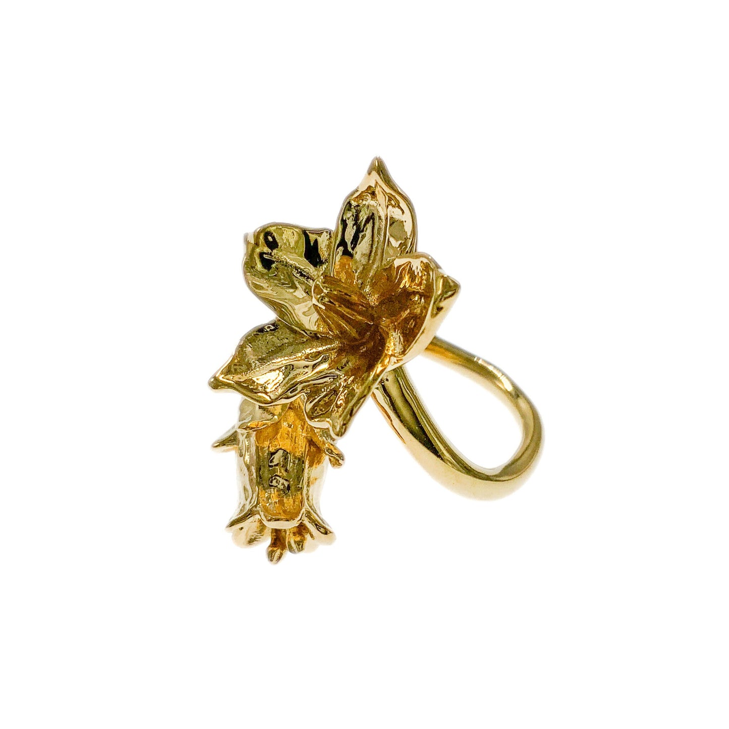 Deadly Nightshade Flower in Solid Gold